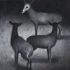 Deer Death